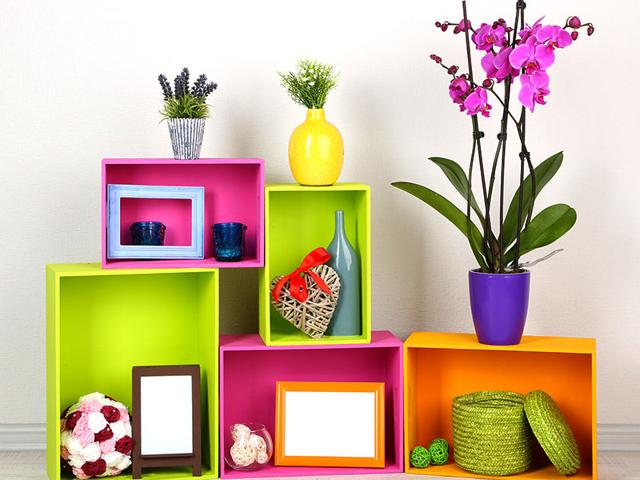 Quirky Home Essentials